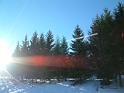 030119 montagna glauco